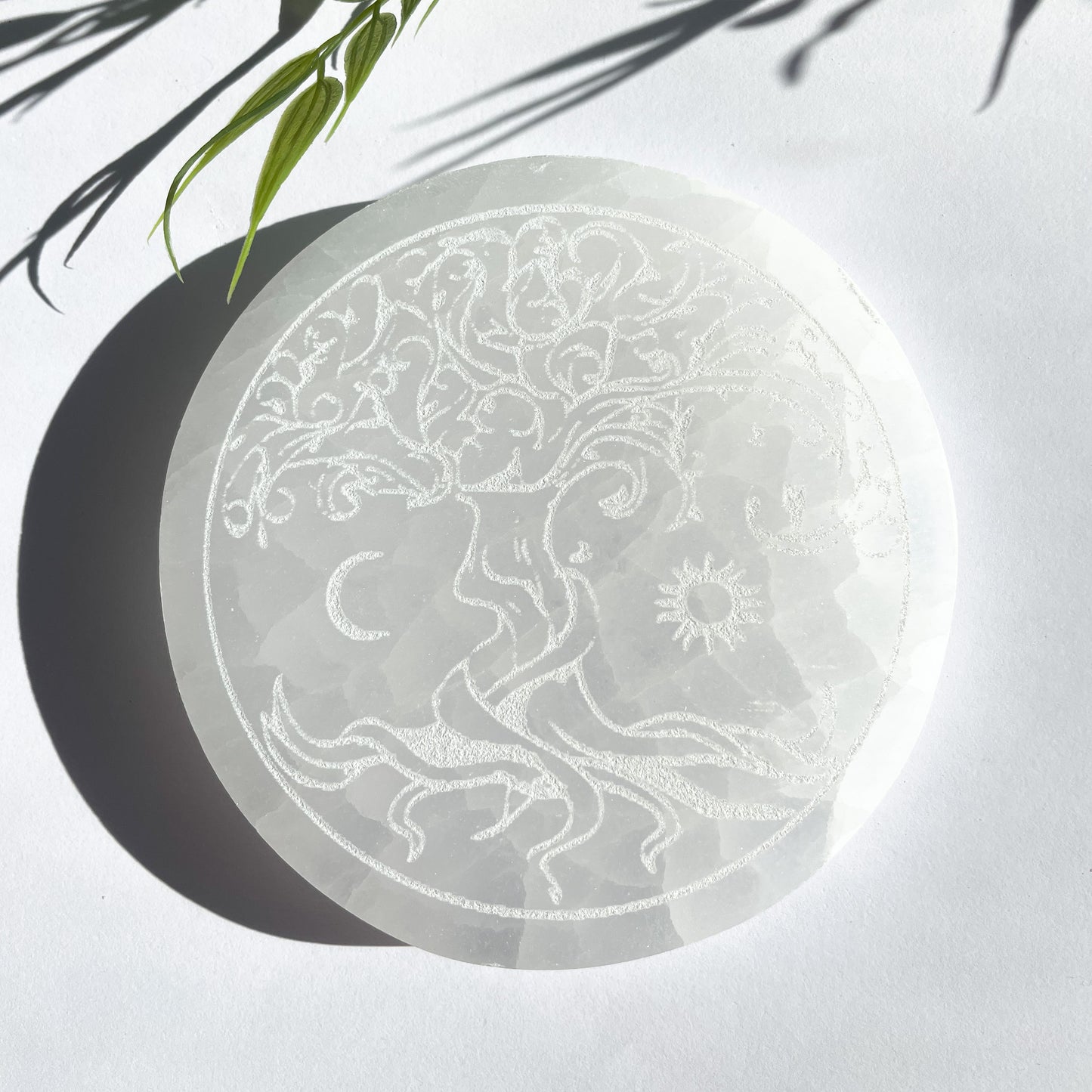 PLAQUE SÉLÉNITE ARBRE