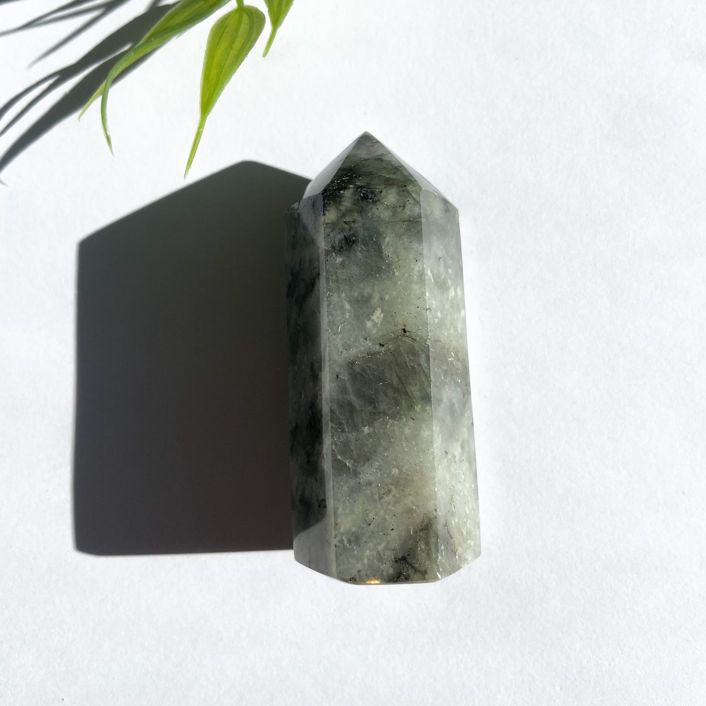 POINTE LABRADORITE n*2