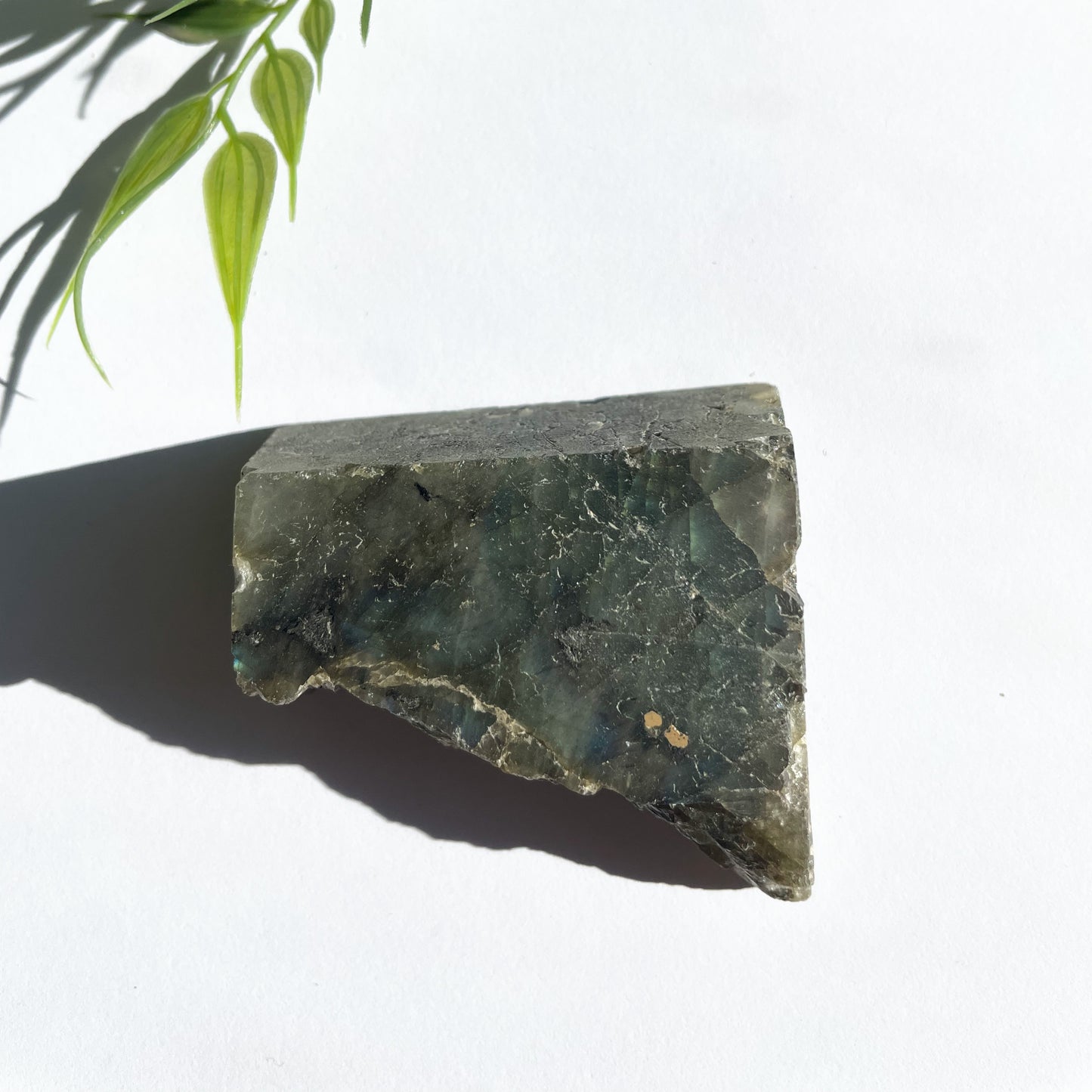 LABRADORITE POLIE UNE FACE