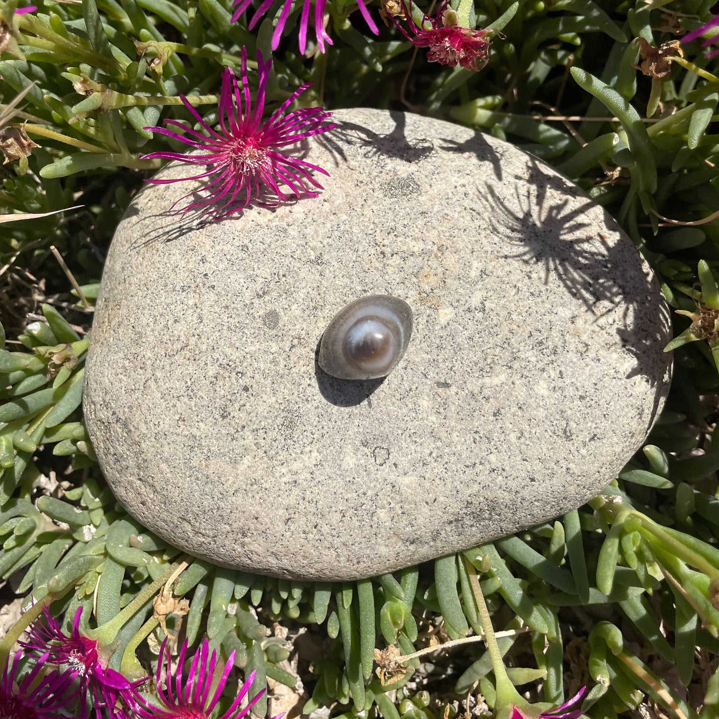 AGATE CYCLOPE / OEIL DE SHIVA