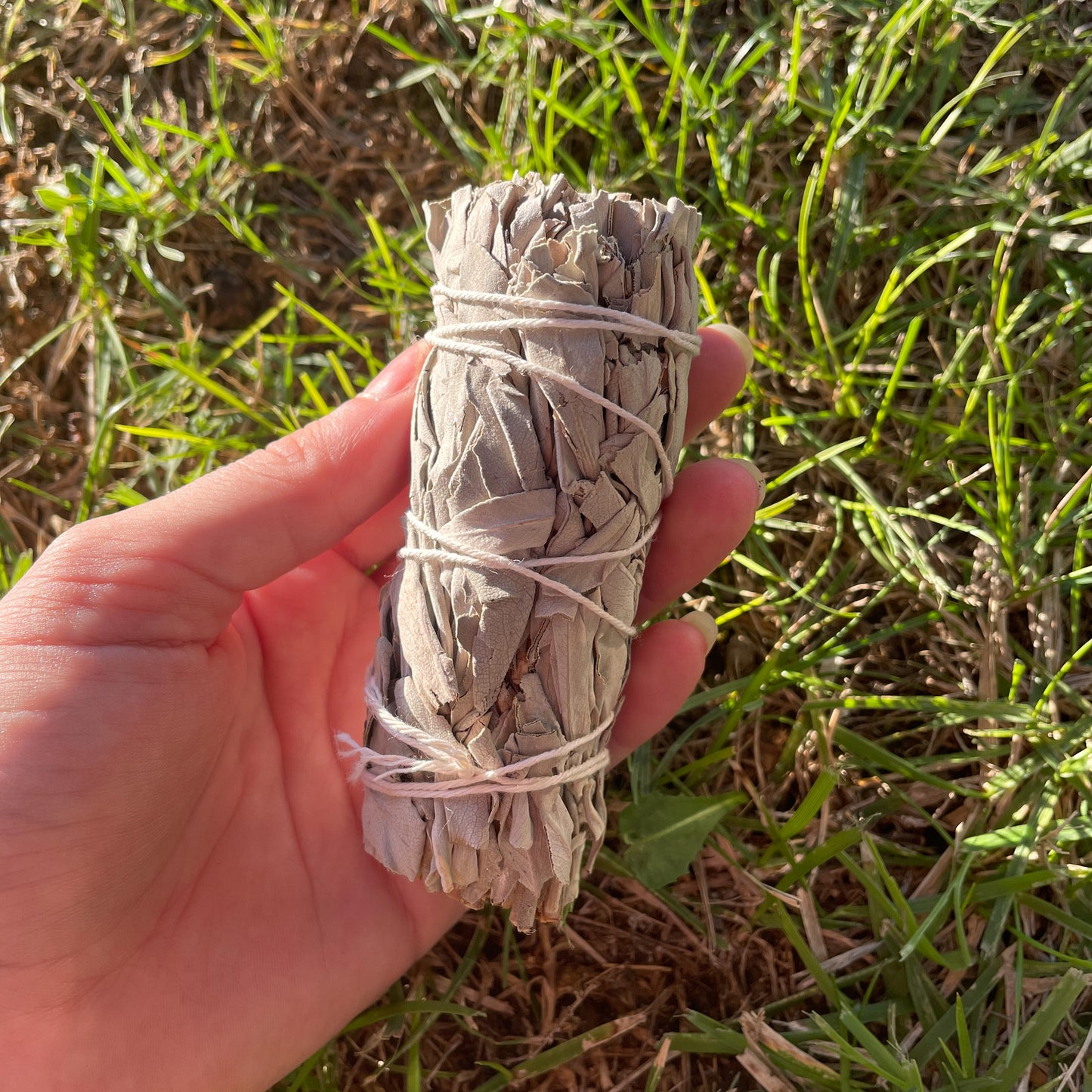 BÂTON FUMIGATION SAUGE BLANCHE