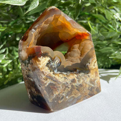 POINTE AGATE