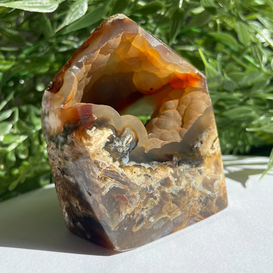 POINTE AGATE