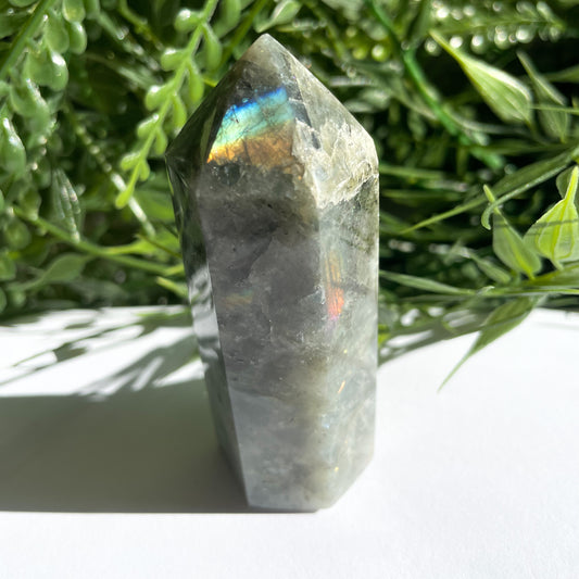 POINTE LABRADORITE n*1