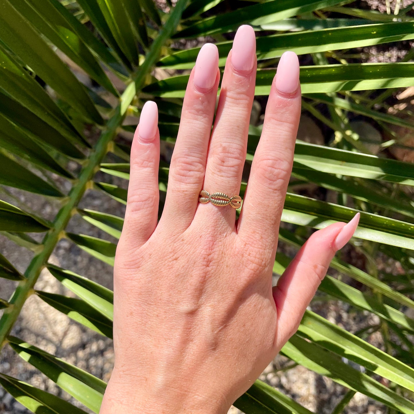 BAGUE CAURI