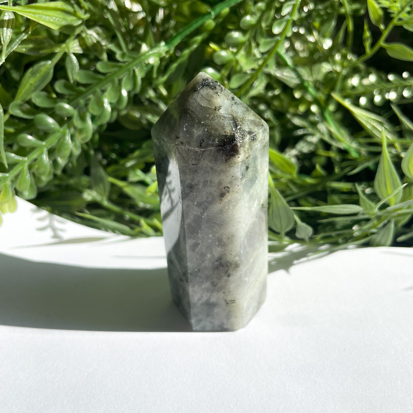 POINTE LABRADORITE n*2