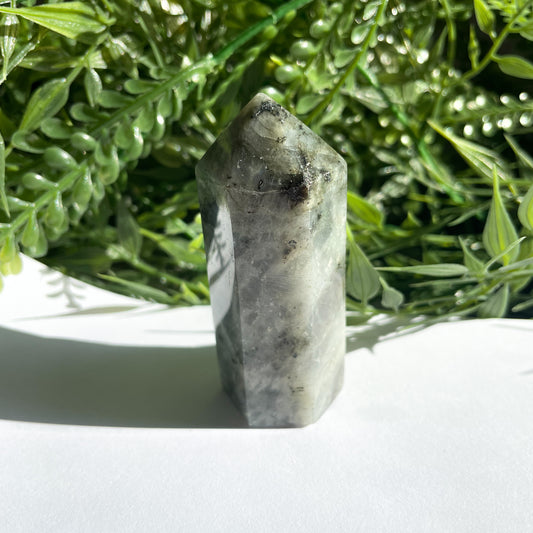 POINTE LABRADORITE n*2
