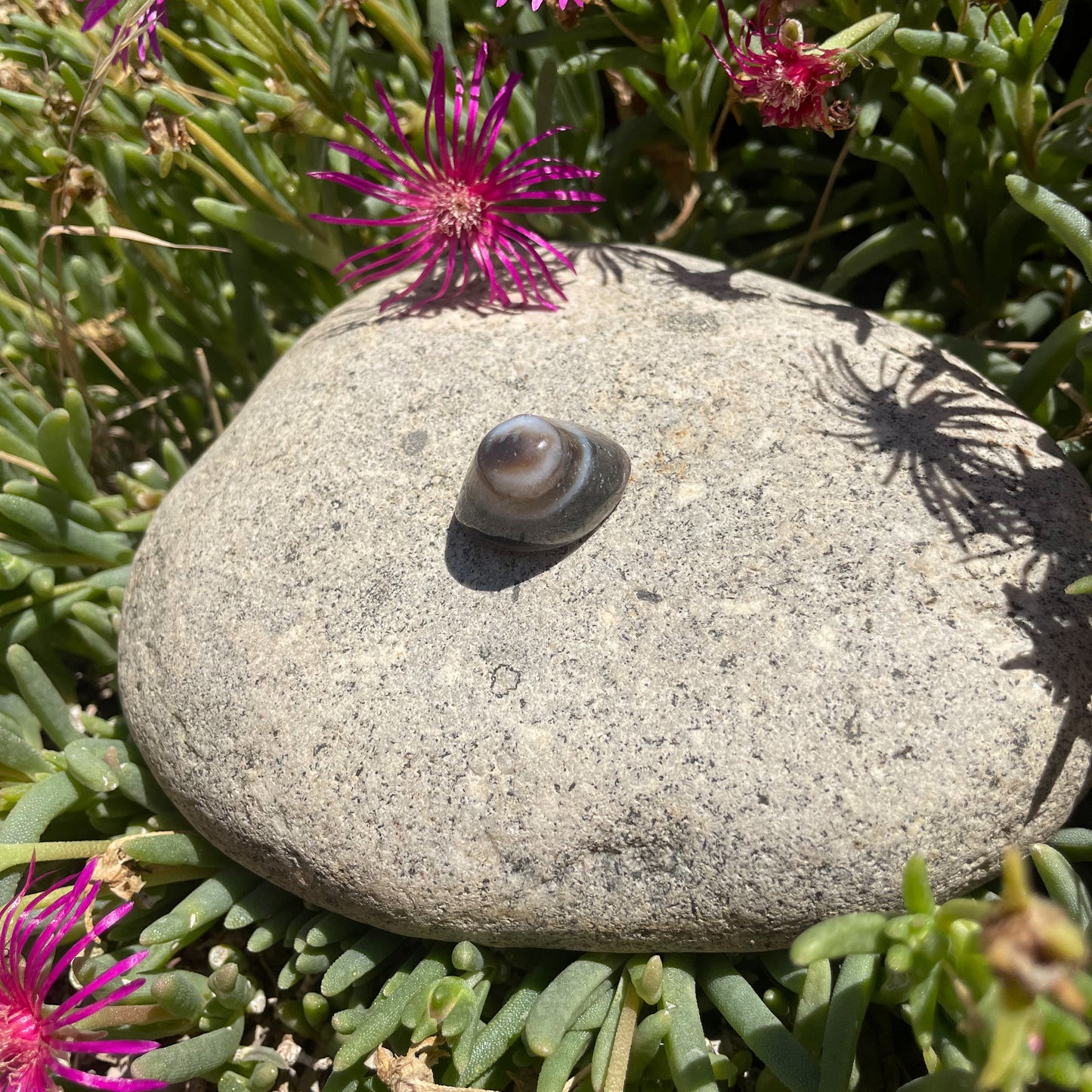AGATE CYCLOPE / OEIL DE SHIVA