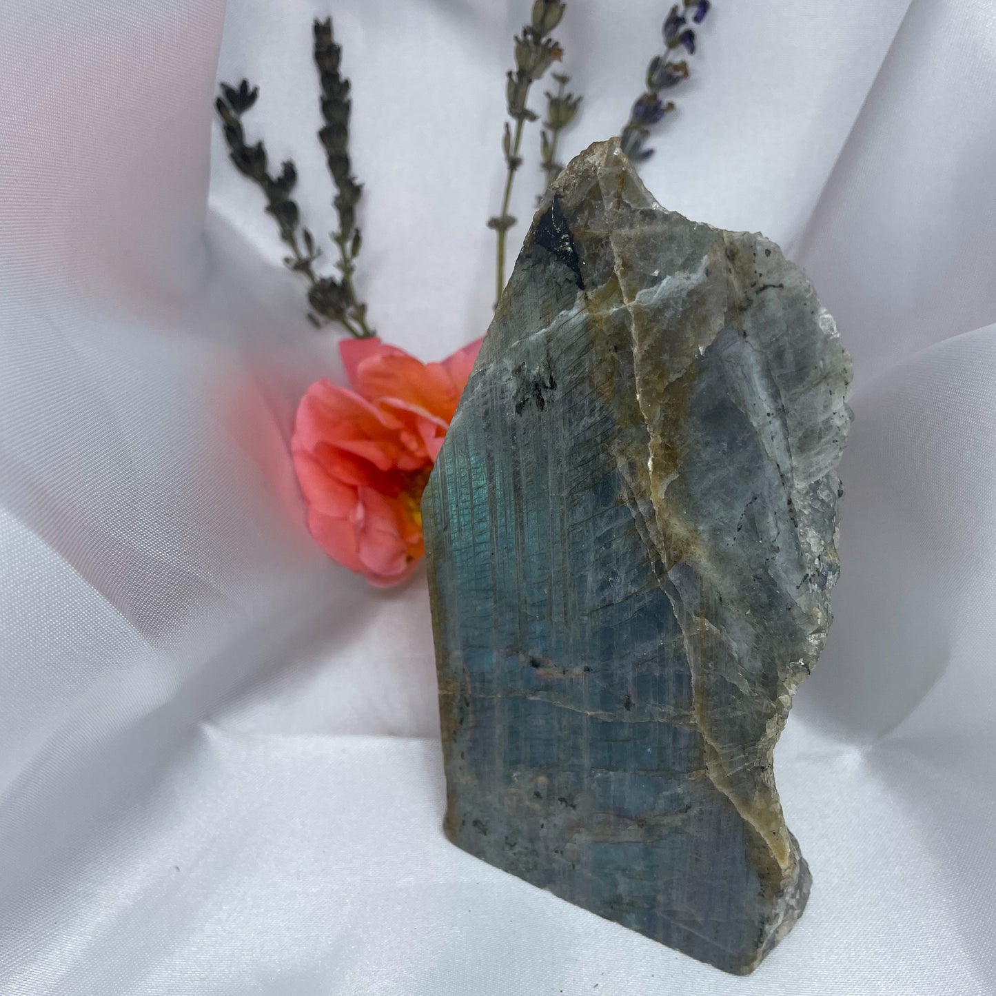 LABRADORITE POLIE UNE FACE