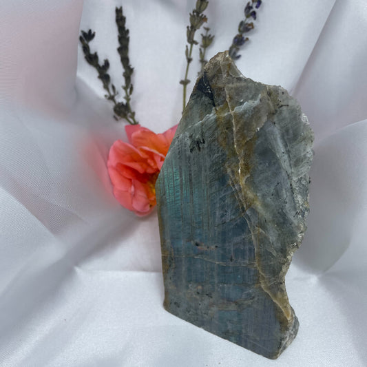 LABRADORITE POLIE UNE FACE