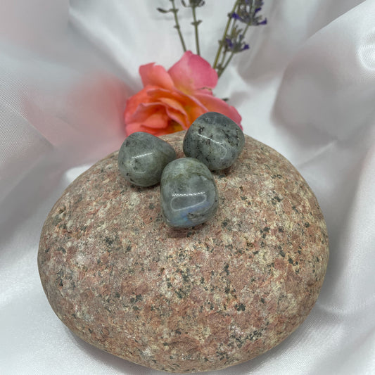 LABRADORITE 2-3 cm